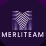 Group logo of Merliteam